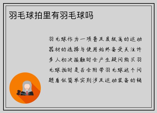 羽毛球拍里有羽毛球吗